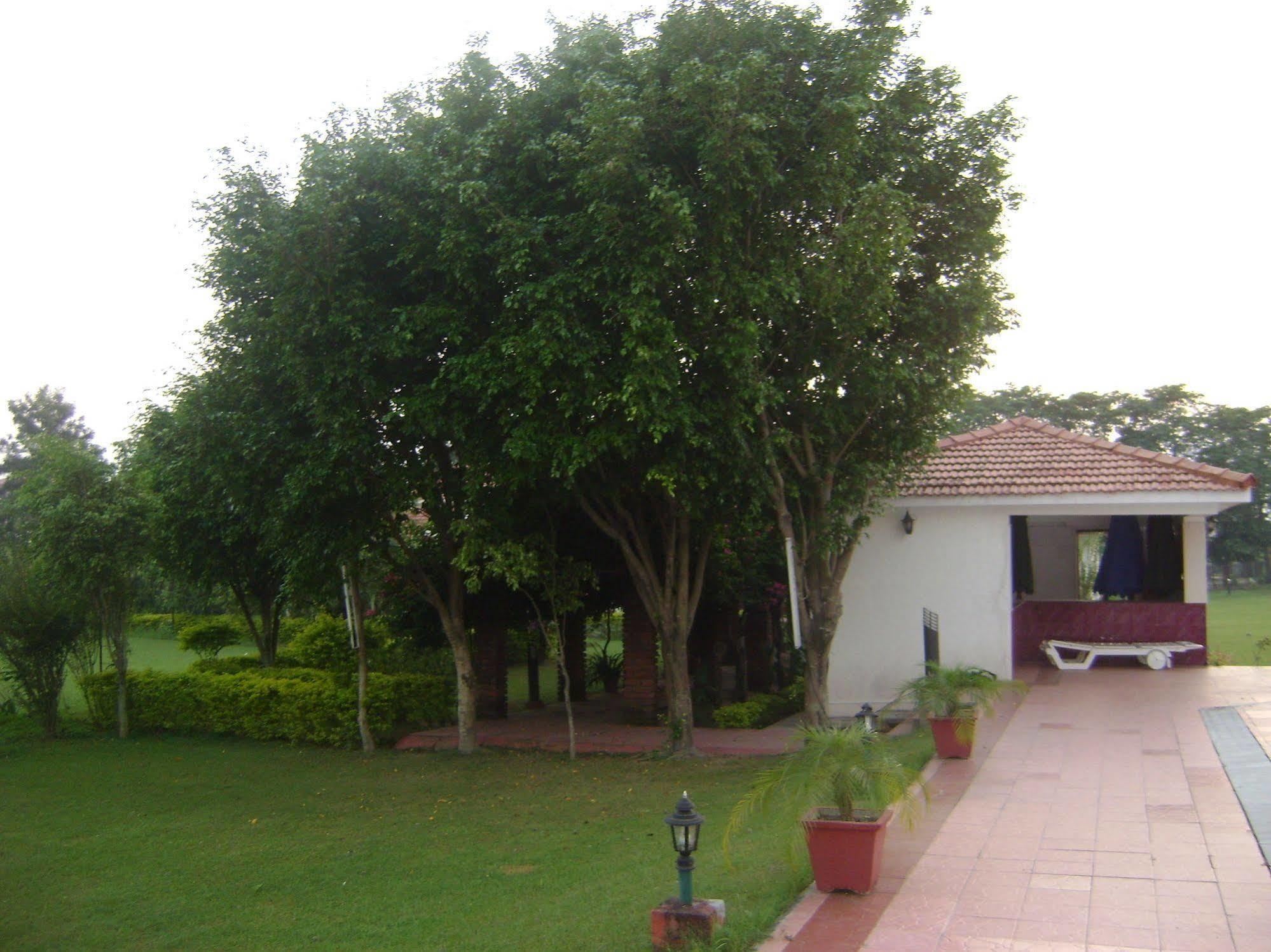 Naturoville Ayurvedic And Yoga Retreat Hotel Rishikesh Exterior photo